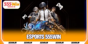Esports 555Win