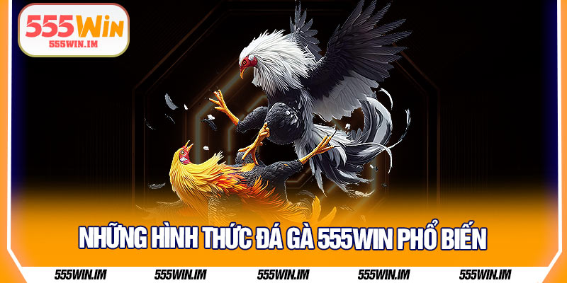 Những hình thức đá gà 555Win phổ biến 