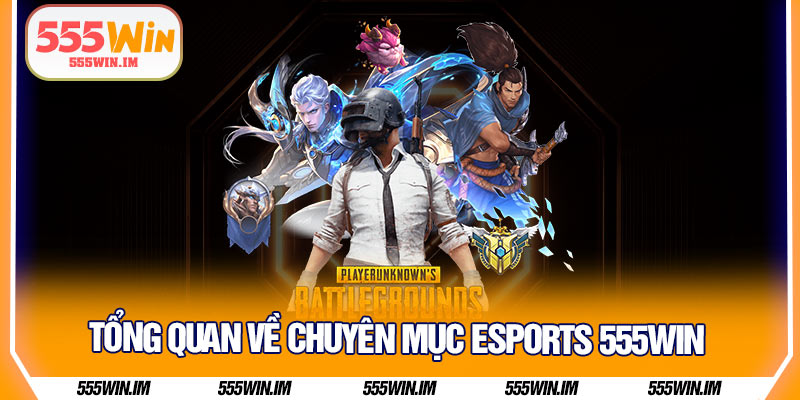 Tổng quan về chuyên mục Esports 555Win
