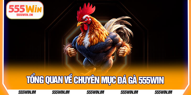 Tổng quan về chuyên mục đá gà 555Win